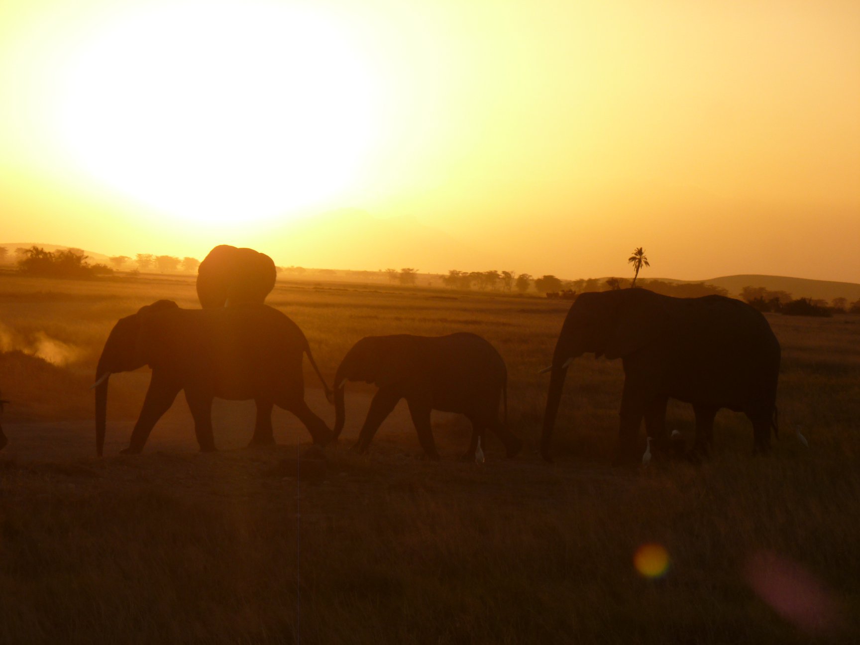 Sunset in Tsavo East